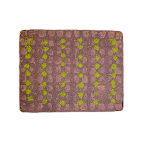 Fıstıklı Soğuk Baklava Tepsi